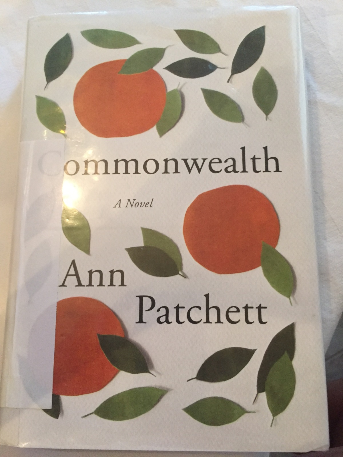 Beach House Book #7 – Commonwealth by Ann Patchett